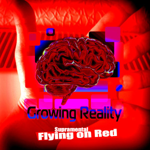 Flying on Reds (New Sense Remix)