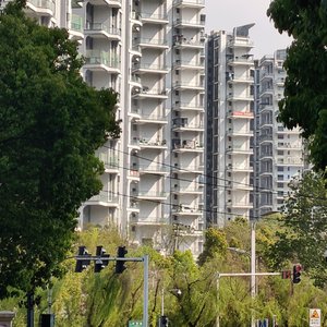 enfp脑袋会开派对