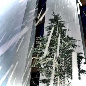 香格里拉下雪了吗