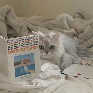 霸总摇摇舞(BGM版)