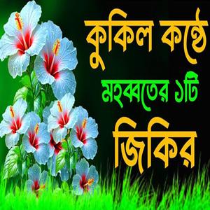 কুকিল কন্ঠে মহব্বতের জিকির