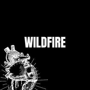Wildfire