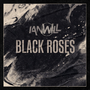 Black Roses