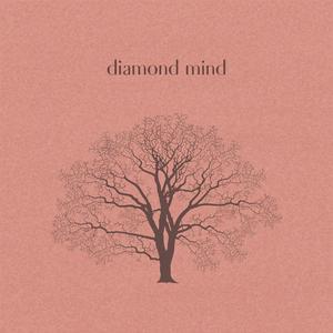 Diamond Mind