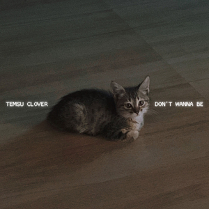 Don't Wanna Be