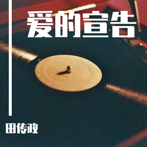 田传政 - 爱的宣告