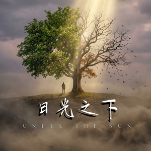 日光之下