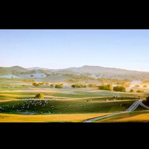 他真的对你好吗那天