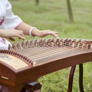 小鸟朝凤 (古筝独奏)