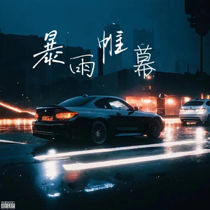 暴雨帷幕remix