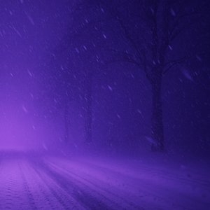 Echoes Beneath the Snow