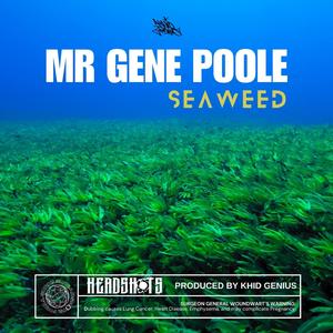Seaweed (feat. Khid Genius) (Original)