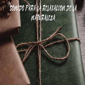 Relajacion Espiritual