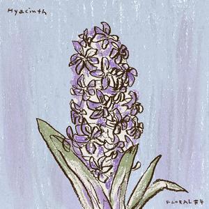 Hyacinth