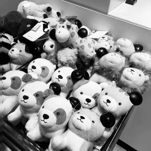 she is from hh （怀化）