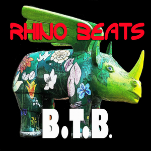 Rhino Beats (Original Mix)