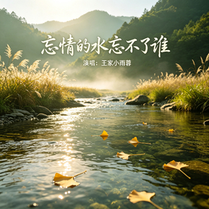 忘情的水忘不了谁 (可惜春风不懂我伤悲)