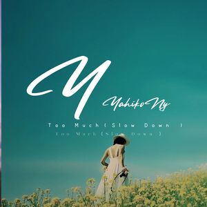 Too Much (Slow Down)