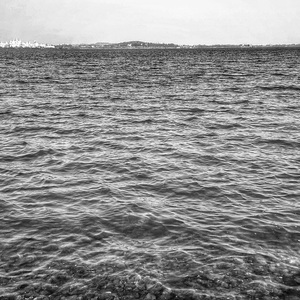 他（prod by Lyoung）