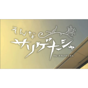 そんなサリゲナーシャ カラオケ