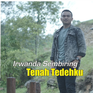 Tenah Tedehku