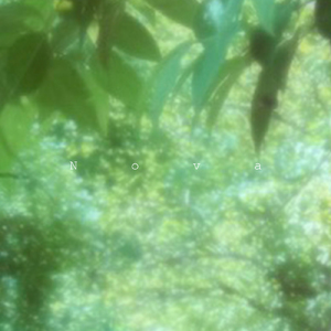 Nova