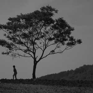 Flower（翻自 岸部真明）
