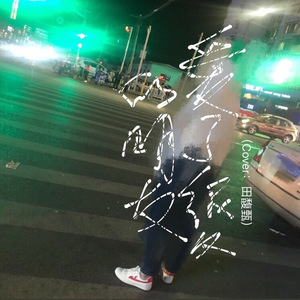 爱了很久的朋友（Cover 田馥甄）