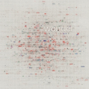 Wonder