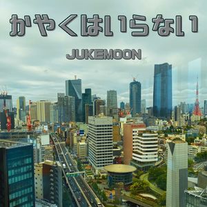 かやくはいらない