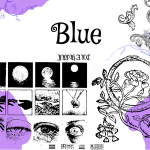 “Blue”-采样House x Club Banger 2024 Type Beat