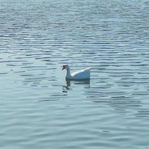 松花江上（伴奏）