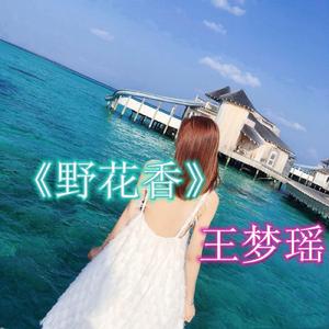 王梦瑶《火爆电子榜单（DJ版）》