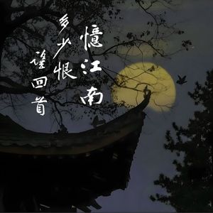 忆江南·多少恨·望回首