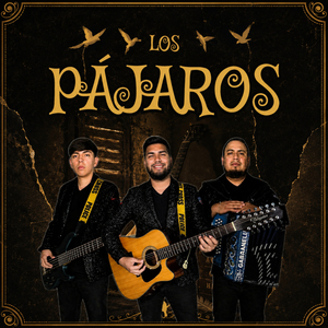 Los Pajaros