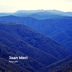 Jaan Meri
