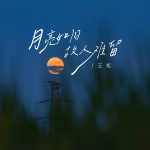 月亮如旧故人难留