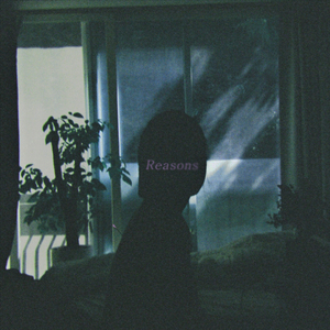 Reasons (feat. Noh Donglim)
