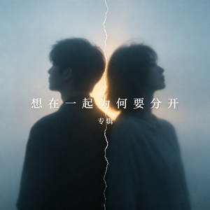 想在一起为什么要分开