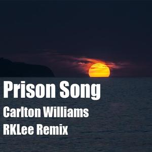 Various Artists-Prion Song（RKLee remix）