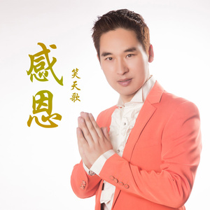 感恩(Dj何鹏版)