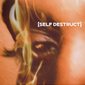 Self Destruct
