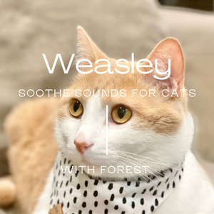 Weasley