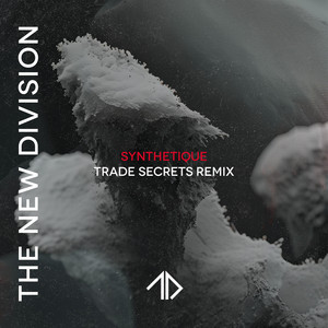 Synthetique (Trade Secrets Remix)