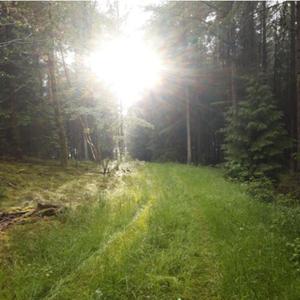 intet (feat. PLUS81kevn)