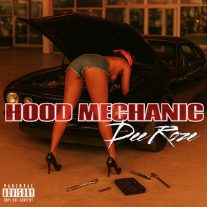 HOOD MECHANIC