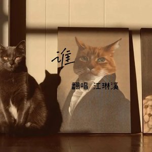 谁(翻自廖俊涛)