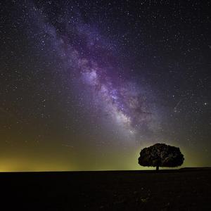 想坐在篝火旁看星空