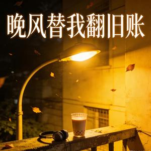 晚风替我翻旧账