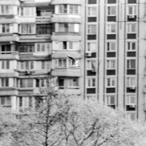 Тахи Тианга